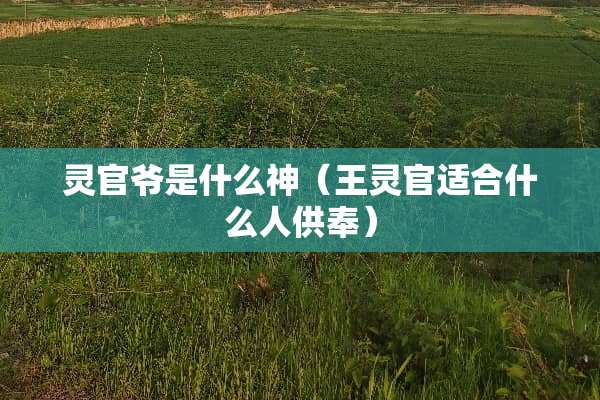 灵官爷是什么神(王灵官适合什么人供奉) 灵官爷是什么神(王灵官适合什么人供奉)