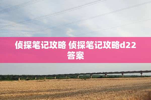 侦探笔记攻略 侦探笔记攻略d22答案 侦探笔记攻略 侦探笔记攻略d22答案