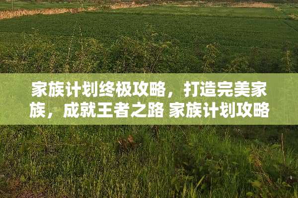 家族计划终极攻略,打造完美家族,成就王者之路 家族计划攻略 家族计划终极攻略,打造完美家族,成就王者之路 家族计划攻略