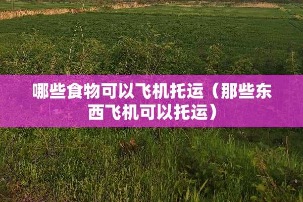 哪些食物可以飞机托运(那些东西飞机可以托运) 哪些食物可以飞机托运(那些东西飞机可以托运)