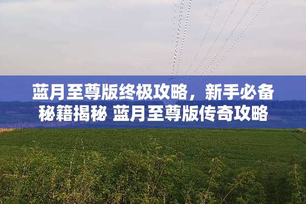 蓝月至尊版终极攻略,新手必备秘籍揭秘 蓝月至尊版传奇攻略 蓝月至尊版终极攻略,新手必备秘籍揭秘 蓝月至尊版传奇攻略