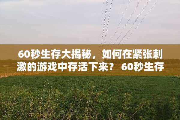 60秒生存大揭秘,如何在紧张**的游戏中存活下来? 60秒生存攻略 60秒生存大揭秘,如何在紧张**的游戏中存活下来? 60秒生存攻略