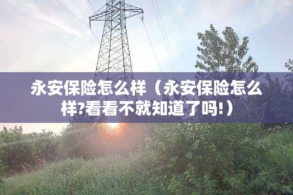 永安保险怎么样(永安保险怎么样?看看不就知道了吗!) 永安保险怎么样(永安保险怎么样?看看不就知道了吗!)
