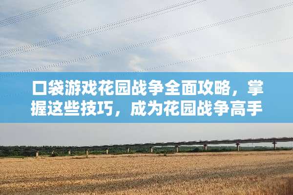 口袋游戏花园战争全面攻略,掌握这些技巧,成为花园战争高手 口袋游戏花园战争攻略 口袋游戏花园战争全面攻略,掌握这些技巧,成为花园战争高手 口袋游戏花园战争攻略