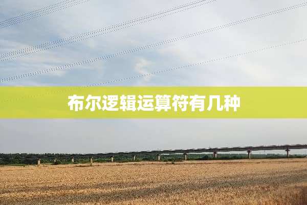 布尔逻辑运算符有几种