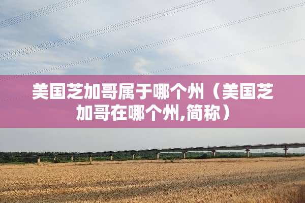 美国芝加哥属于哪个州（美国芝加哥在哪个州,简称）