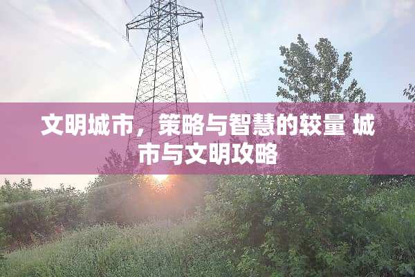 文明城市，策略与智慧的较量 城市与文明攻略