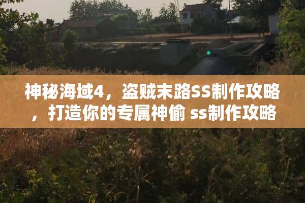 神秘海域4,盗贼末路SS制作攻略,打造你的专属神偷 ss制作攻略 神秘海域4,盗贼末路SS制作攻略,打造你的专属神偷 ss制作攻略