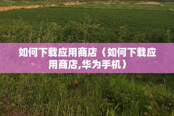 如何下载应用商店（如何下载应用商店,华为手机）