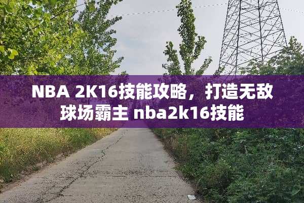 NBA 2K16技能攻略,打造无敌球场霸主 nba2k16技能 NBA 2K16技能攻略,打造无敌球场霸主 nba2k16技能