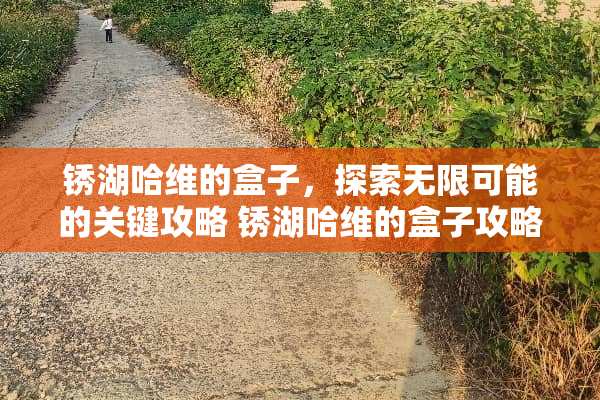 锈湖哈维的盒子，探索无限可能的关键攻略 锈湖哈维的盒子攻略