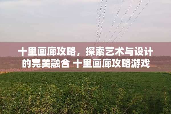 十里画廊攻略,探索艺术与设计的完美融合 十里画廊攻略游戏 十里画廊攻略,探索艺术与设计的完美融合 十里画廊攻略游戏
