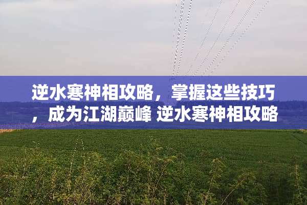 逆水寒神相攻略，掌握这些技巧，成为江湖巅峰 逆水寒神相攻略
