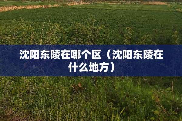 沈阳东陵在哪个区（沈阳东陵在什么地方）