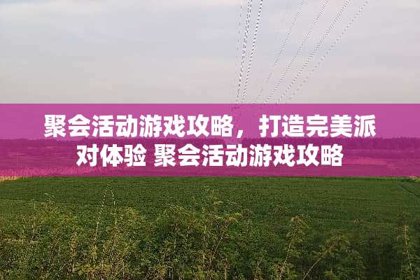 聚会活动游戏攻略，打造完美派对体验 聚会活动游戏攻略