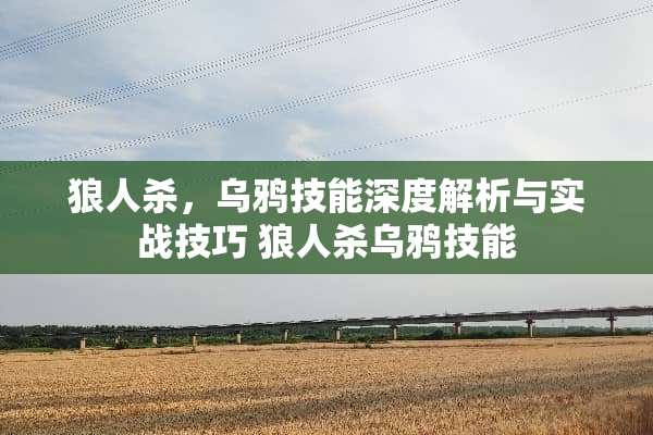 狼人杀，乌鸦技能深度解析与实战技巧 狼人杀乌鸦技能