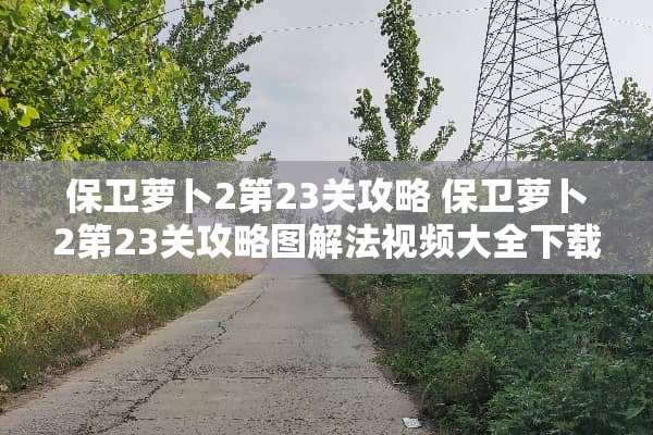 保卫萝卜2第23关攻略 保卫萝卜2第23关攻略图解法视频大全下载