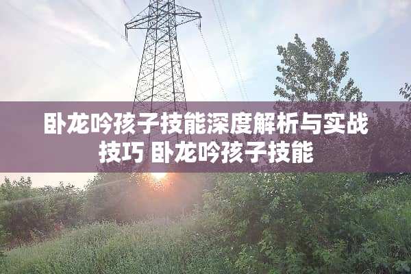 卧龙吟孩子技能深度解析与实战技巧 卧龙吟孩子技能