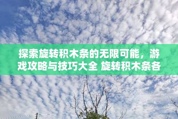 探索旋转积木条的无限可能，游戏攻略与技巧大全 旋转积木条各种玩法