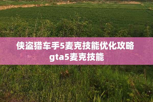 侠盗猎车手5麦克技能优化攻略 gta5麦克技能