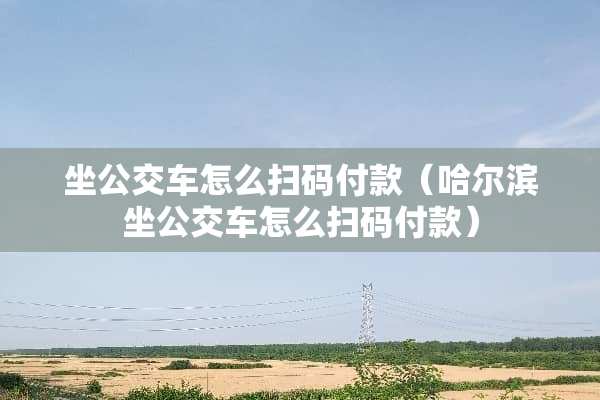 坐公交车怎么扫码付款（哈尔滨坐公交车怎么扫码付款）