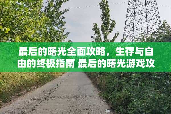 最后的曙光全面攻略,生存与自由的终极指南 最后的曙光游戏攻略 最后的曙光全面攻略,生存与自由的终极指南 最后的曙光游戏攻略