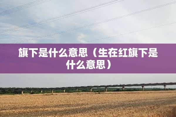 旗下是什么意思（生在红旗下是什么意思）