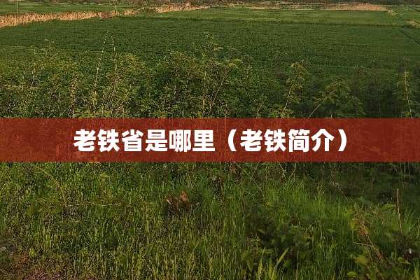 老铁省是哪里（老铁简介）