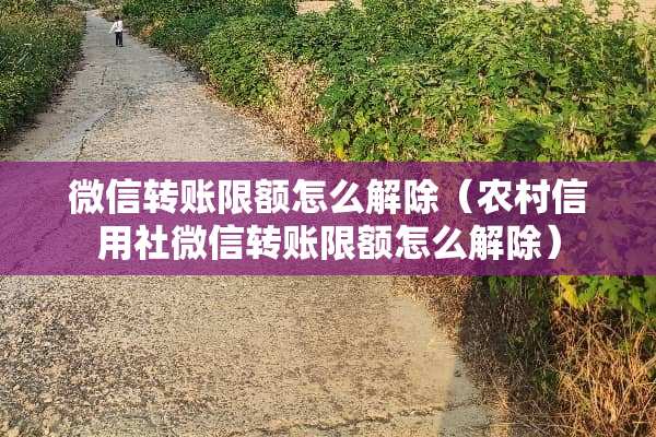 微信转账限额怎么解除（农村信用社微信转账限额怎么解除）