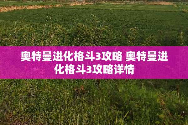 奥特曼进化格斗3攻略 奥特曼进化格斗3攻略详情