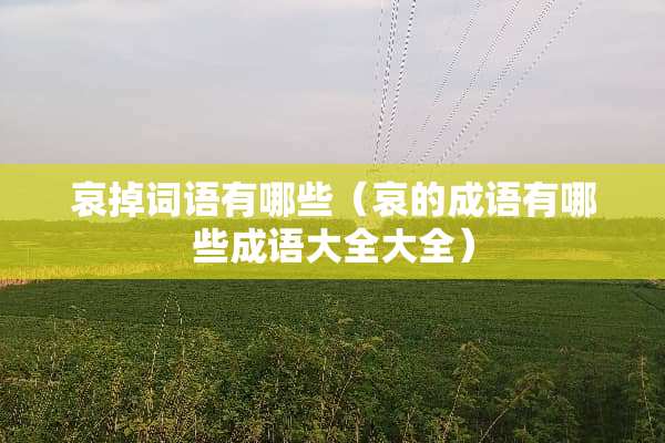 哀掉词语有哪些（哀的成语有哪些成语大全大全）