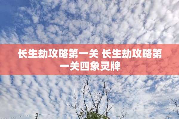 长生劫攻略第一关 长生劫攻略第一关四象灵牌