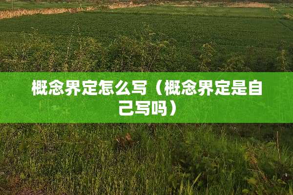 概念界定怎么写(概念界定是自己写吗) 概念界定怎么写(概念界定是自己写吗)