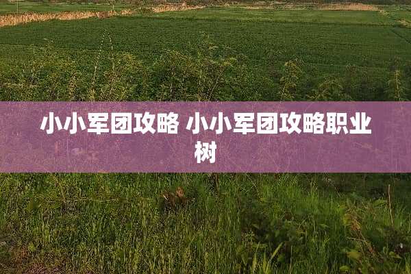 小小军团攻略 小小军团攻略职业树