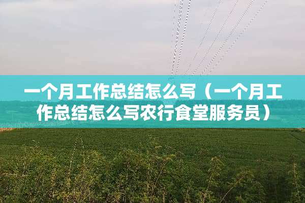 一个月工作总结怎么写（一个月工作总结怎么写农行食堂服务员）