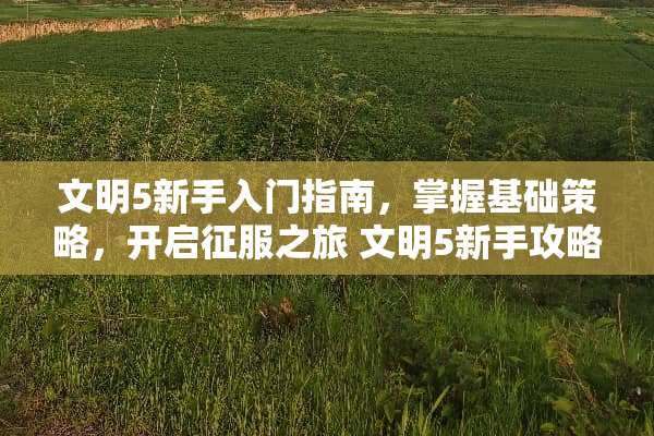 文明5新手入门指南，掌握基础策略，开启征服之旅 文明5新手攻略