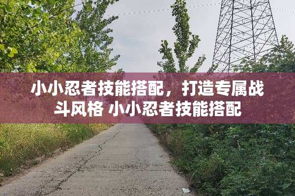小小忍者技能搭配,打造专属战斗风格 小小忍者技能搭配 小小忍者技能搭配,打造专属战斗风格 小小忍者技能搭配