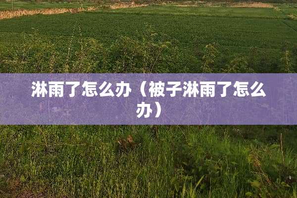 淋雨了怎么办（被子淋雨了怎么办）