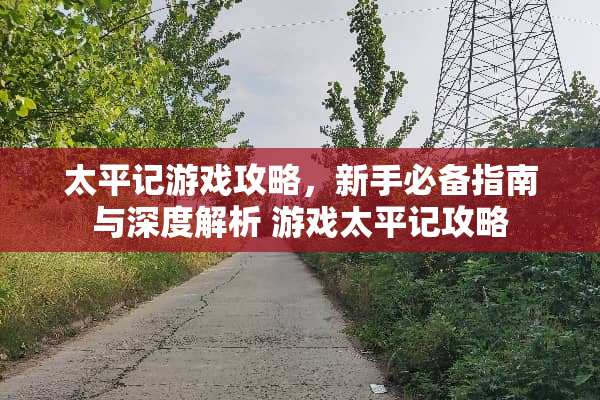 太平记游戏攻略，新手必备指南与深度解析 游戏太平记攻略