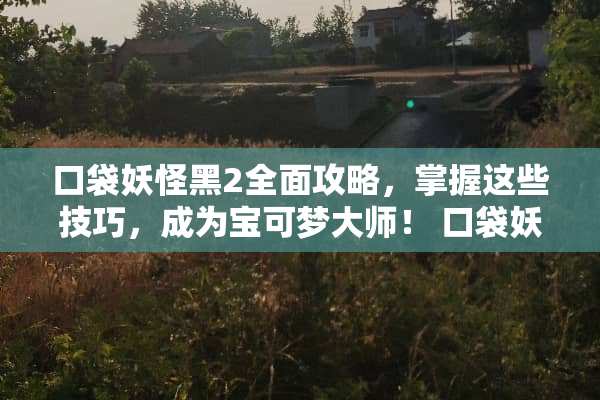 口袋妖怪黑2全面攻略,掌握这些技巧,成为宝可梦大师! 口袋妖怪黑2攻略 口袋妖怪黑2全面攻略,掌握这些技巧,成为宝可梦大师! 口袋妖怪黑2攻略
