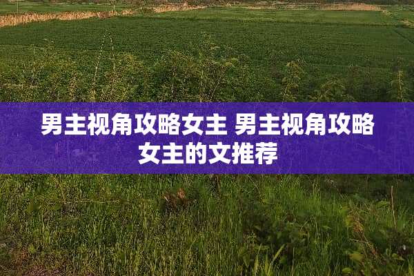 男主视角攻略女主 男主视角攻略女主的文推荐