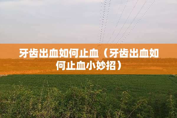牙齿出血如何止血（牙齿出血如何止血小妙招）