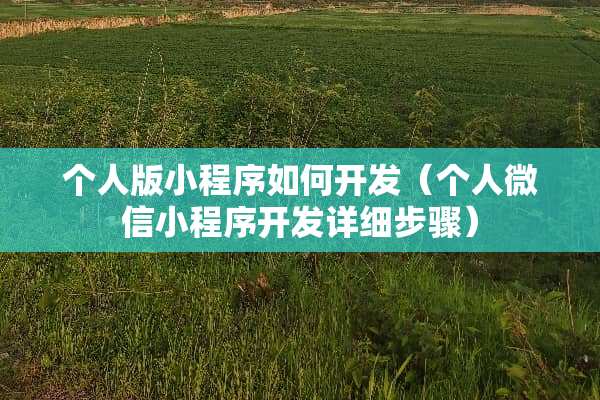 个人版小程序如何开发(个人微信小程序开发详细步骤) 个人版小程序如何开发(个人微信小程序开发详细步骤)