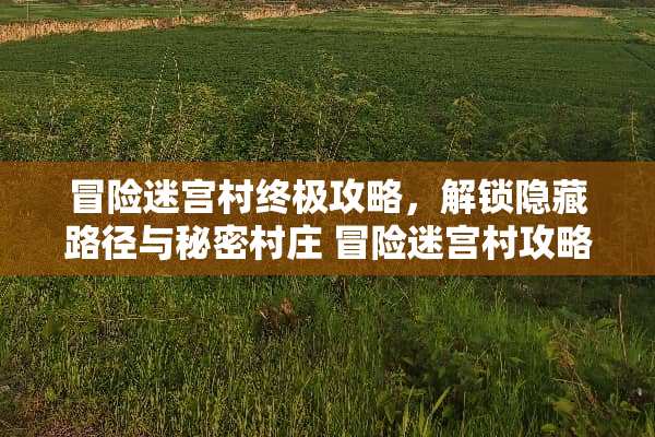 冒险迷宫村终极攻略，解锁隐藏路径与秘密村庄 冒险迷宫村攻略