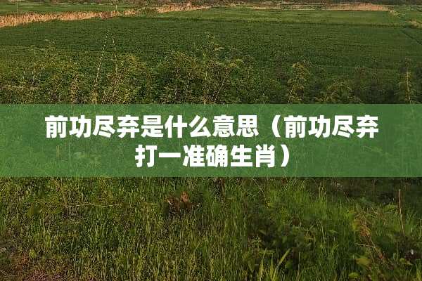 前功尽弃是什么意思（前功尽弃打一准确生肖）