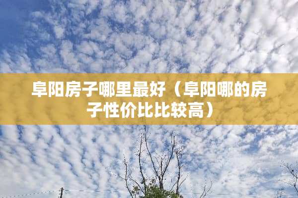 阜阳房子哪里最好（阜阳哪的房子性价比比较高）