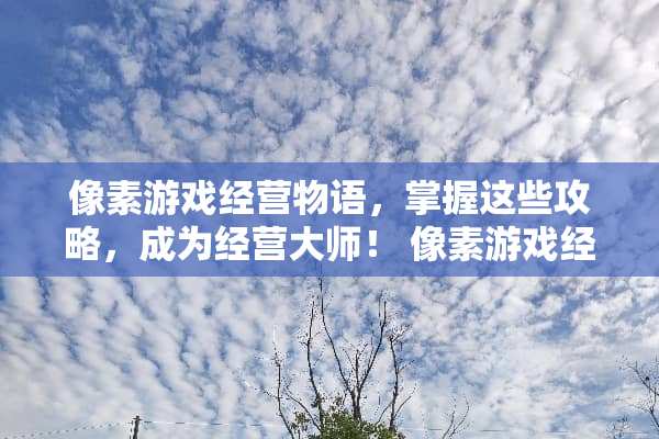 像素游戏经营物语，掌握这些攻略，成为经营大师！ 像素游戏经营物语攻略