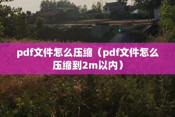 pdf文件怎么压缩（pdf文件怎么压缩到2m以内）
