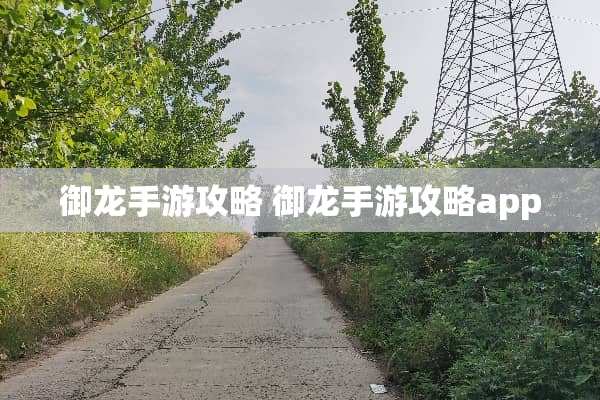 御龙手游攻略 御龙手游攻略app 御龙手游攻略 御龙手游攻略app