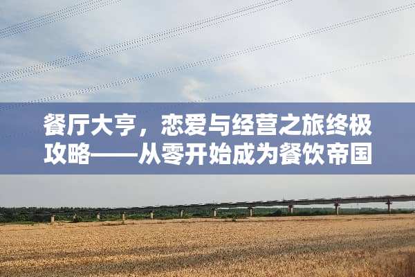 餐厅大亨，恋爱与经营之旅终极攻略——从零开始成为餐饮帝国霸主 餐厅养成记攻略游戏